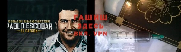 гидра Вязьма